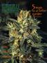 Page: - 75 | High Times