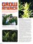Page: - 78 | High Times
