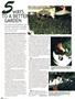 Page: - 80 | High Times