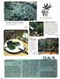 Page: - 82 | High Times
