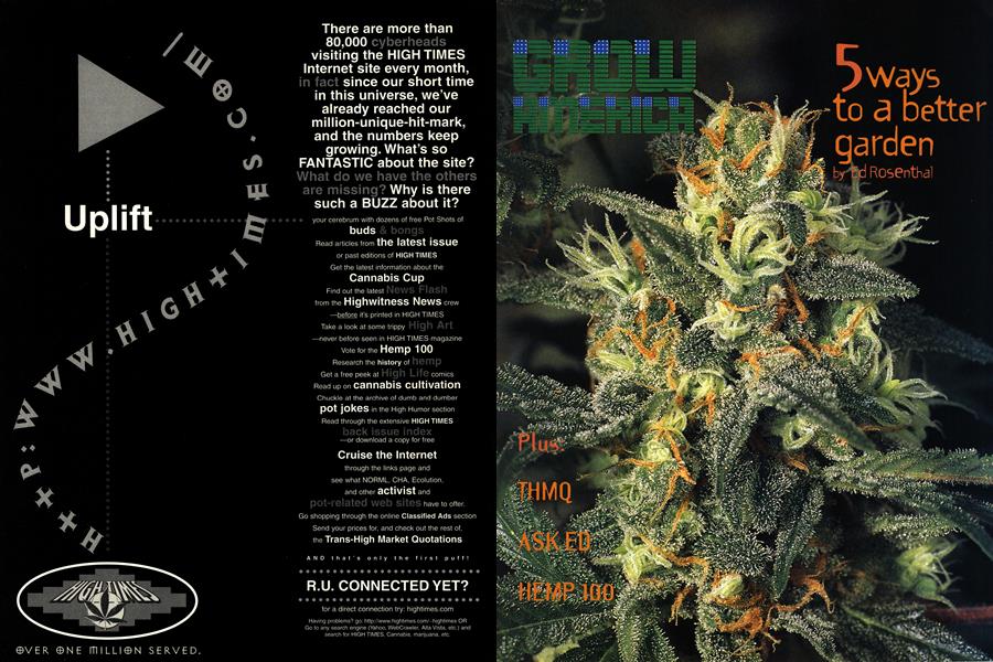 GROW AMERICA