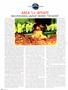 Page: - 24 | High Times