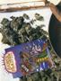 Page: - 50 | High Times