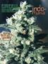 Page: - 75 | High Times