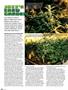 Page: - 78 | High Times