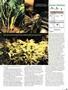 Page: - 79 | High Times