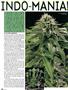 Page: - 80 | High Times