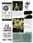 Page: - 82 | High Times