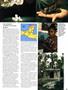 Page: - 47 | High Times
