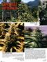Page: - 76 | High Times