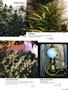 Page: - 77 | High Times
