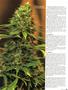 Page: - 79 | High Times