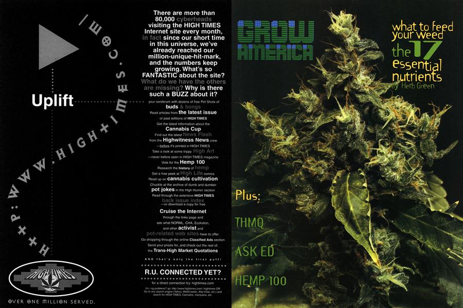 GROW AMERICA