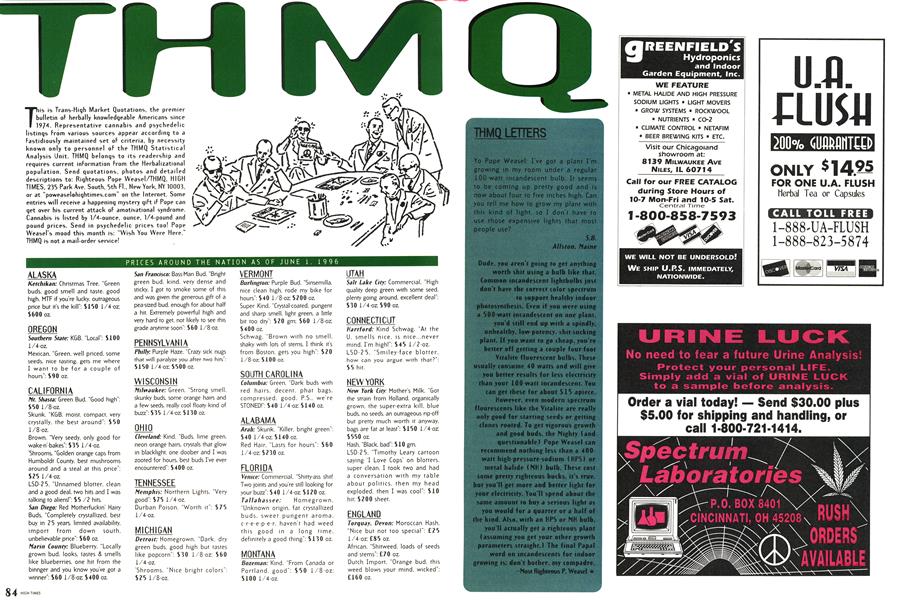 THMQ
