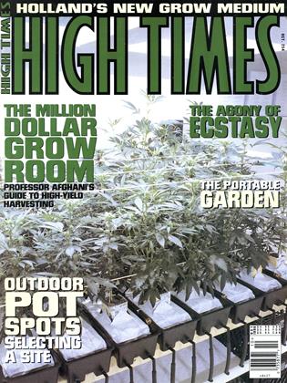 OCT 1996 | High Times