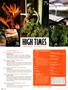 Page: - 4 | High Times