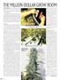 Page: - 52 | High Times