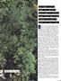 Page: - 55 | High Times