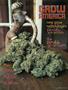 Page: - 75 | High Times