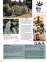 Page: - 82 | High Times