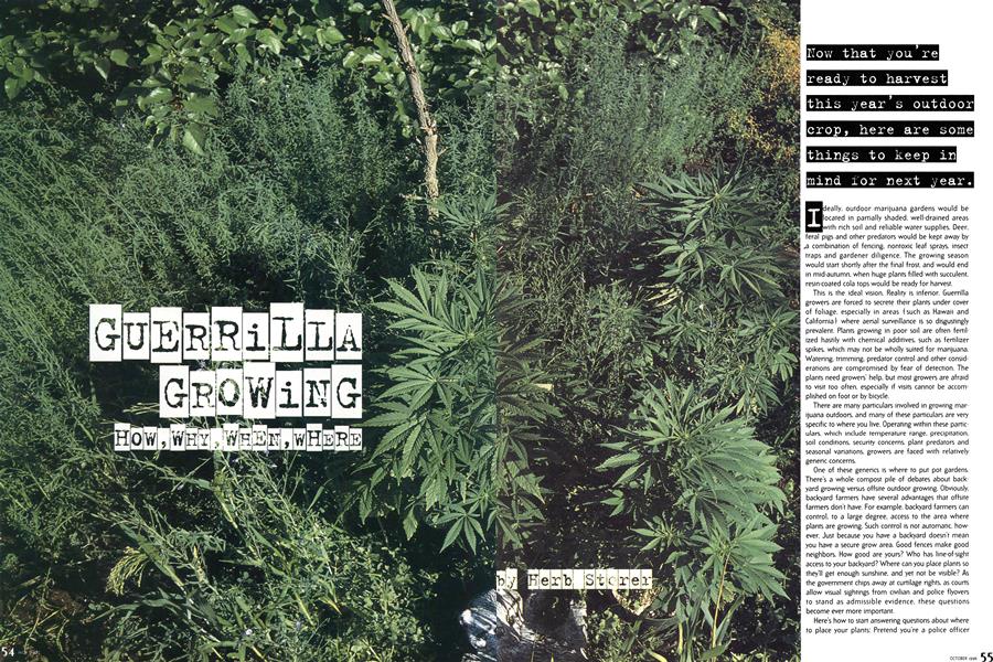GUERRILLA GROWING
