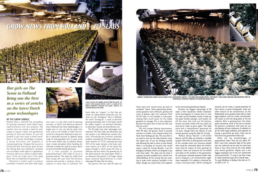 GROWN NEWS FROM HOLLAND—PU SLABS