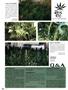 Page: - 100 | High Times
