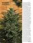 Page: - 74 | High Times