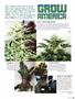 Page: - 95 | High Times