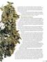 Page: - 47 | High Times