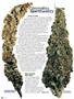 Page: - 48 | High Times