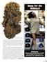 Page: - 51 | High Times