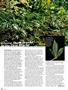 Page: - 64 | High Times