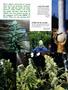 Page: - 93 | High Times