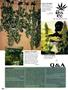 Page: - 98 | High Times