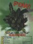 Page: - 35 | High Times
