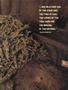 Page: - 59 | High Times