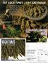 Page: - 69 | High Times