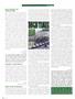 Page: - 8 | High Times