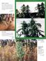 Page: - 93 | High Times