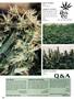 Page: - 98 | High Times