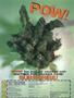 Page: - 43 | High Times