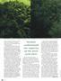 Page: - 48 | High Times