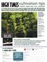 Page: - 81 | High Times