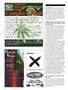 Page: - 94 | High Times