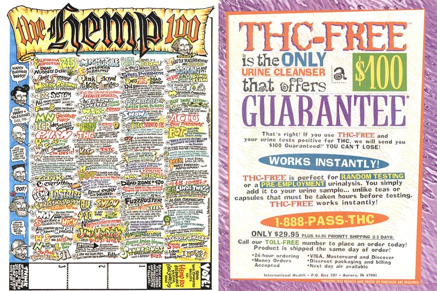the hemp 100