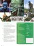 Page: - 4 | High Times