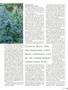 Page: - 49 | High Times