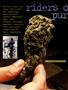 Page: - 52 | High Times