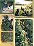 Page: - 77 | High Times